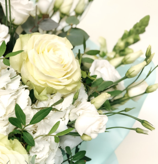 Hydrangea bouquet white